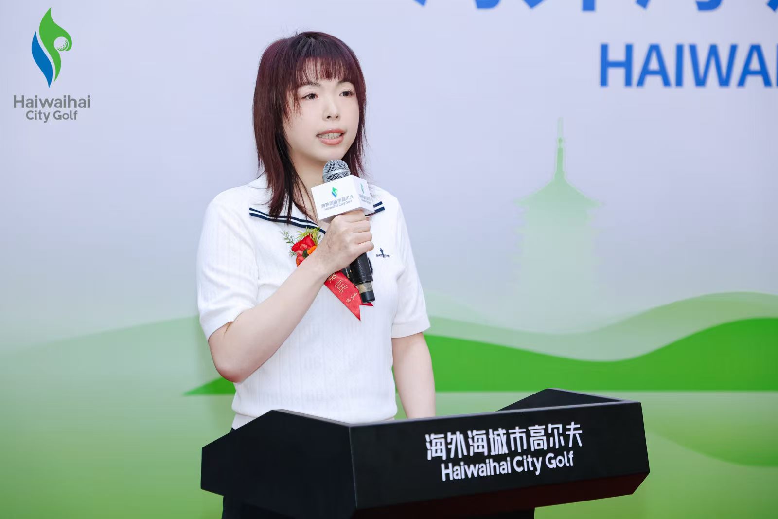 bbin视讯区域代理商加盟通道与招商引资管理平台图片